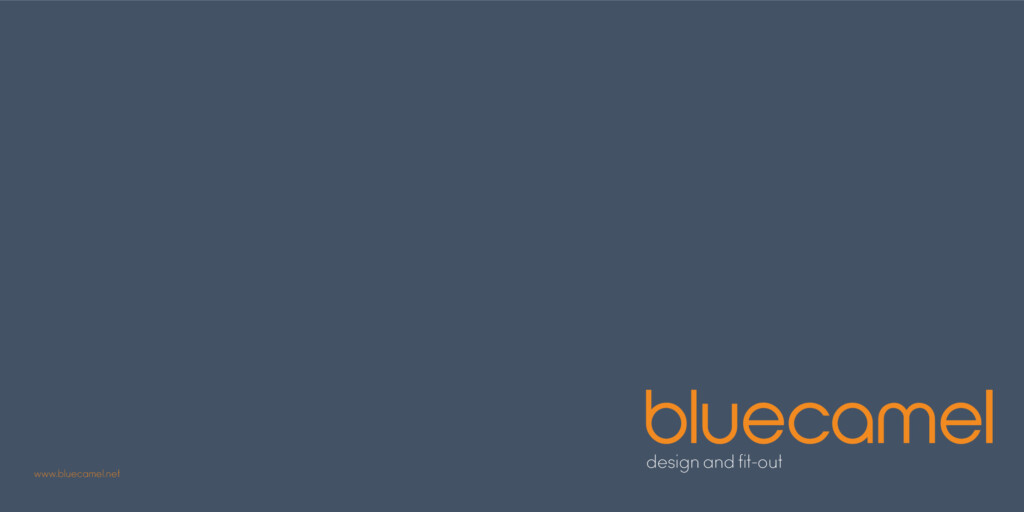 BLUECAMEL CORPORATE PROFILE