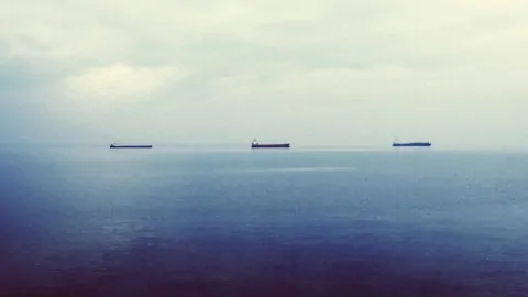Picsum ID: